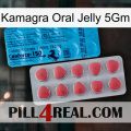 Kamagra Oral Jelly 5Gm new14